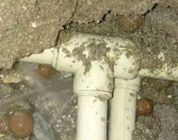 桃山测漏水多少钱