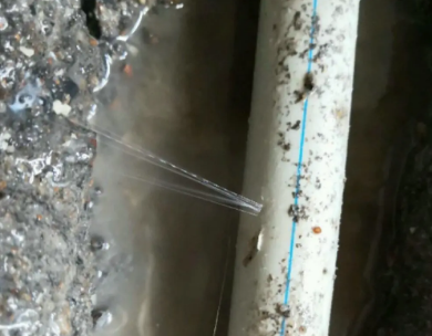 桃山测漏水哪家好