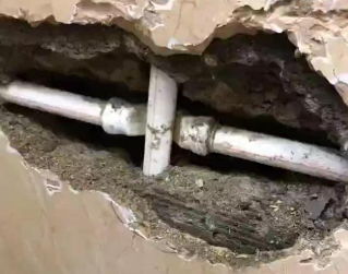 桃山测漏水哪家好