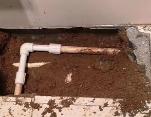 桃山测漏水哪家好