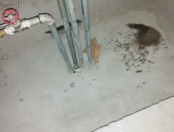 桃山卫生间测漏水价格明细