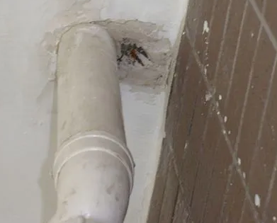 桃山漏水检测哪家好